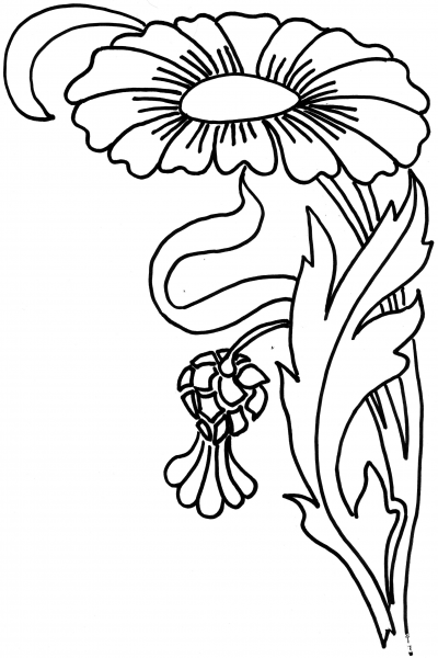 Zinnia Flower  coloring page image