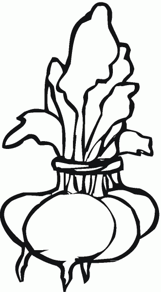 Beetroot coloring page image