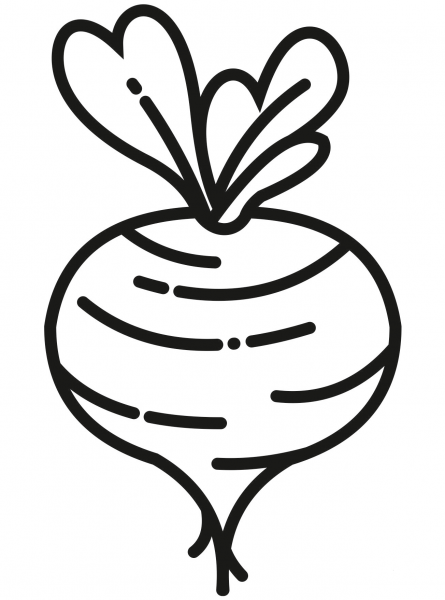 Beetroot coloring page image