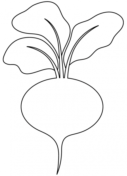 Beetroot coloring page image