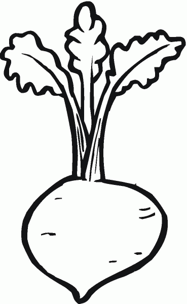 Beetroot coloring page image