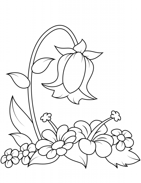 Bellflower coloring page image