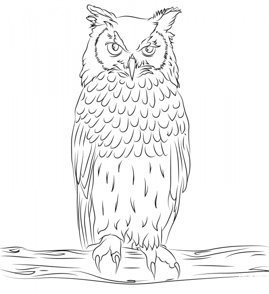 Bengalese Eagle Owl  coloring page image