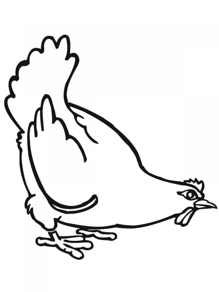 Big Fat Hen coloring page image