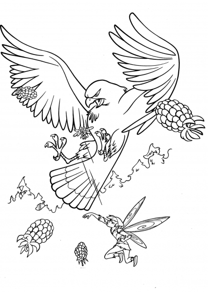 Big Hawk  coloring page image