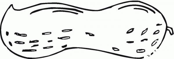 Big Peanut  coloring page image
