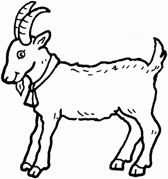Billy Goat coloring page image