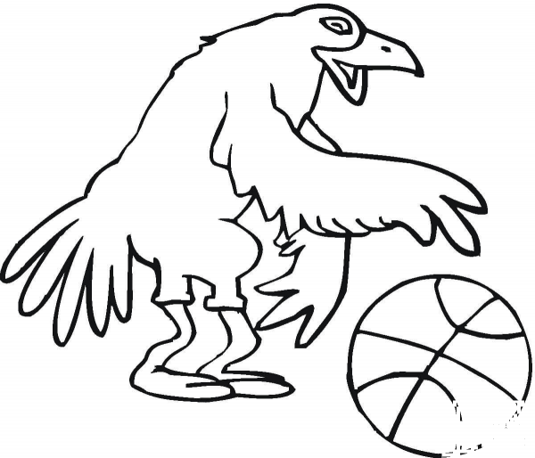 Bird Basketballer  coloring page image