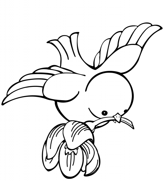 Bird Carrying Flower coloring page image