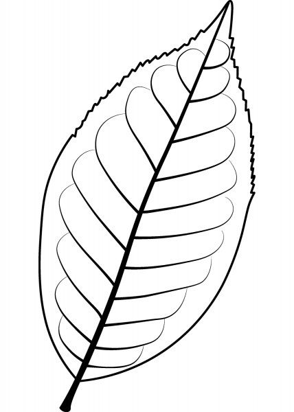 Bird Cherry Leaf coloring page image