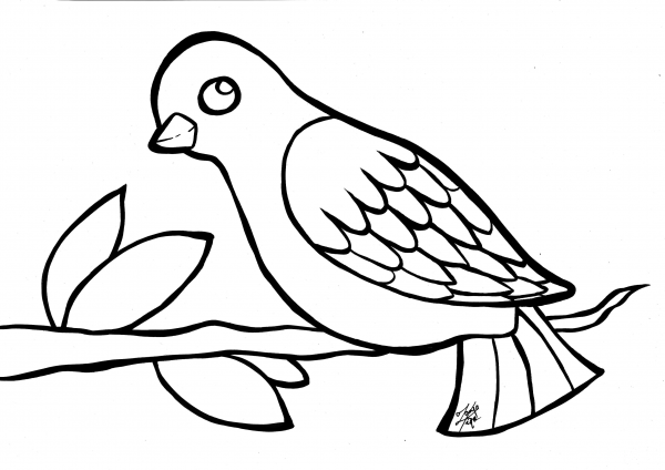 Bird coloring page image