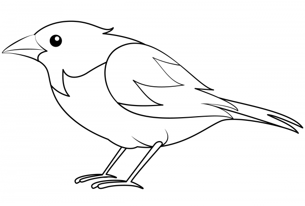 Bird coloring page image