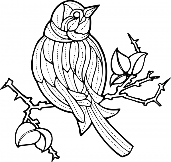 Bird coloring page image