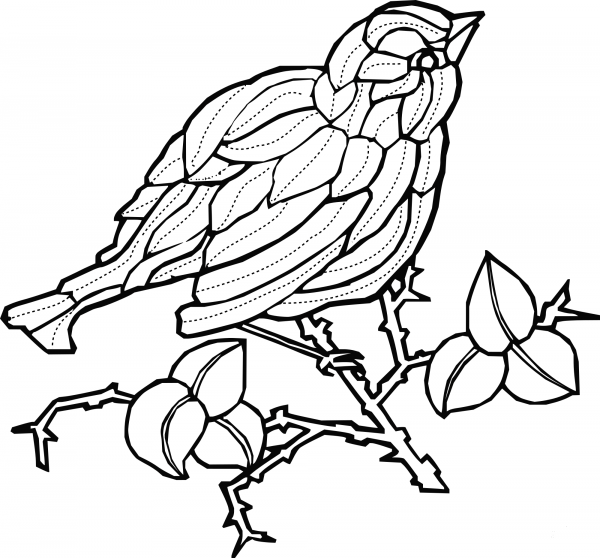 Bird coloring page image