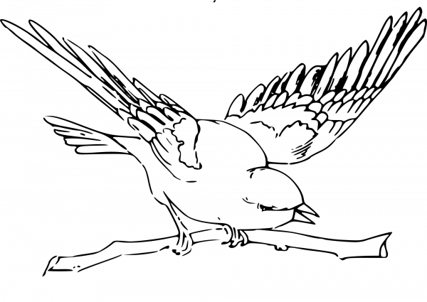 Bird coloring page image
