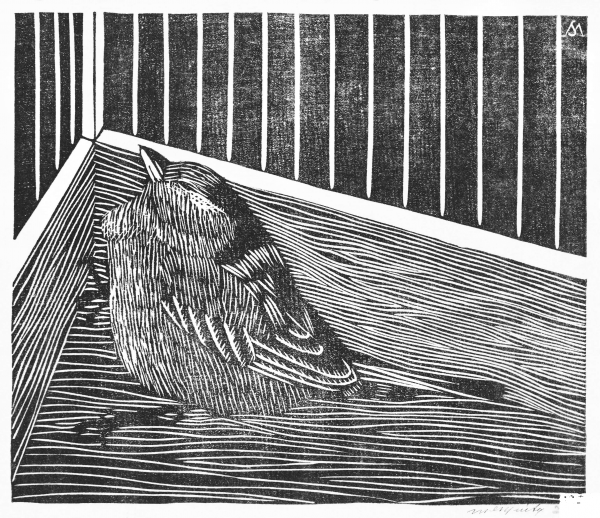 Bird in the Corner of a Cage coloring page image