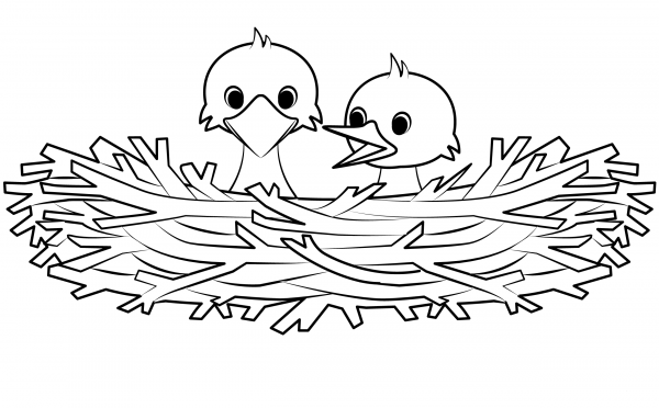 Bird Nest coloring page image