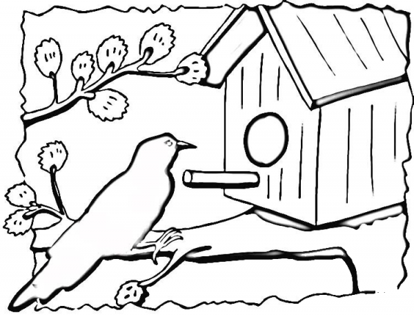 Birdhouse  coloring page image