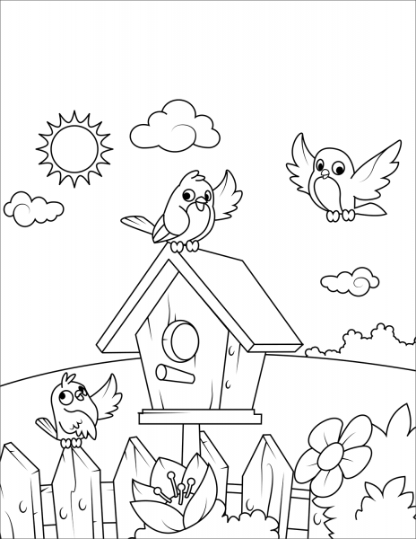 Birds Near a Birdhouse coloring page image