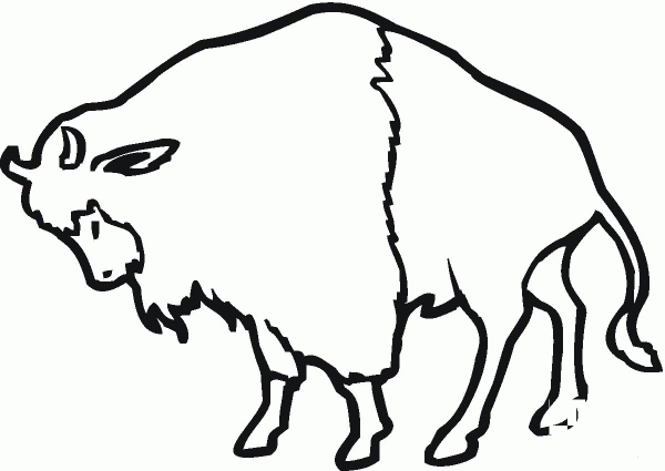 Bison coloring page image