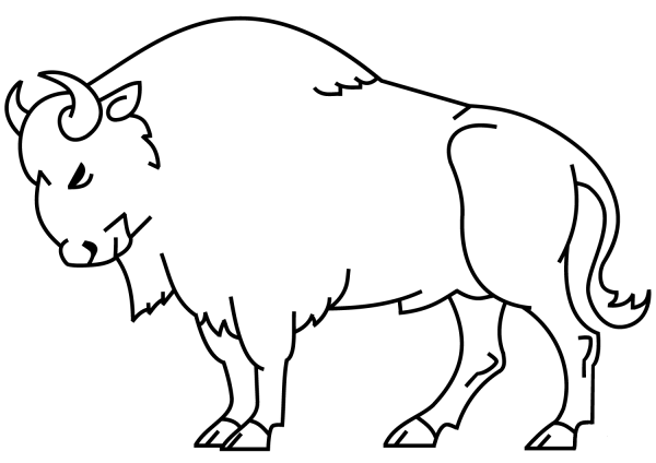Bison coloring page image