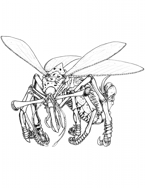 Bitcadae coloring page image