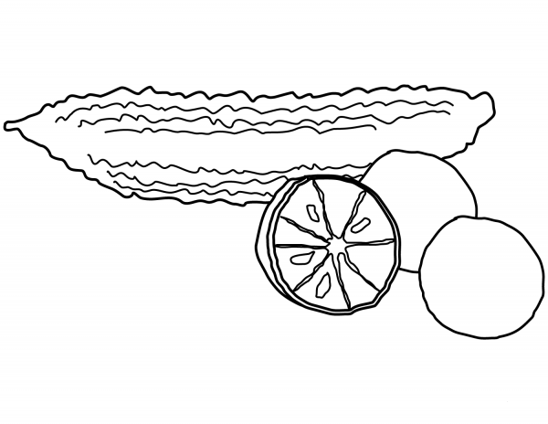 Bitter Melon coloring page image