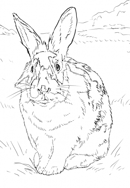 Black and White Rabbit coloring page image