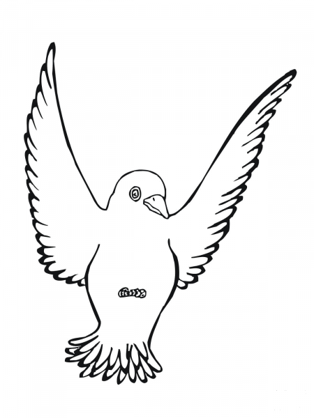 Black Bird coloring page image