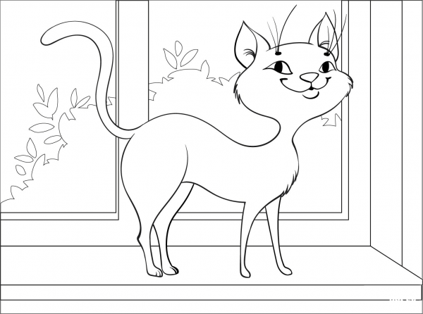 Black Cat coloring page image