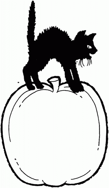 Black Cat Is Standing on a Pumpkin coloring page image