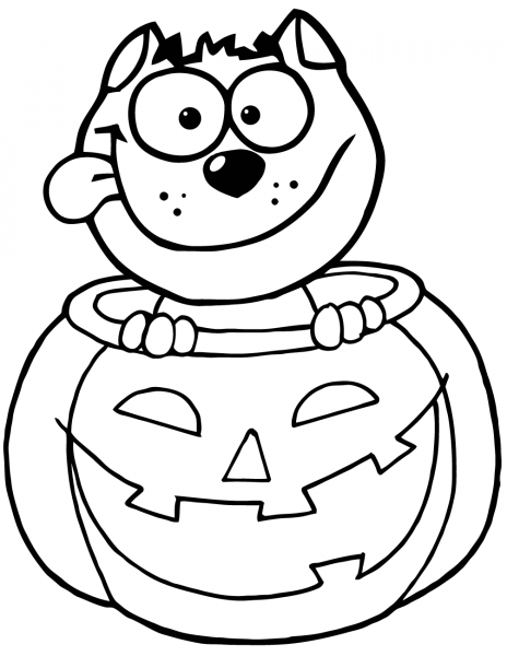 Black Cat Sitting Inside of a Pumpkin coloring page image