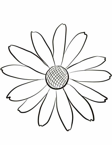 Black Eyed Susan coloring page image