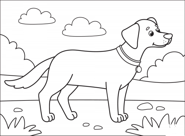 Black Lab coloring page image
