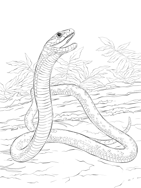 Black Mamba coloring page image