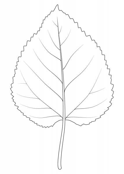 Black Mulberry Leaf coloring page image