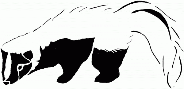 Black & White Striped Skunk coloring page image