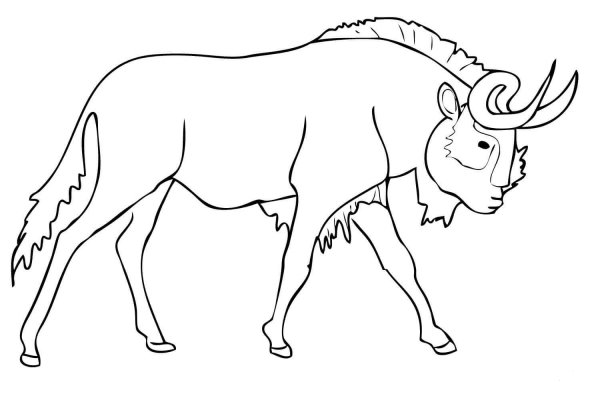Black Wildebeest (Gnu) coloring page image