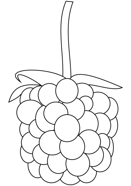 Blackberry coloring page image