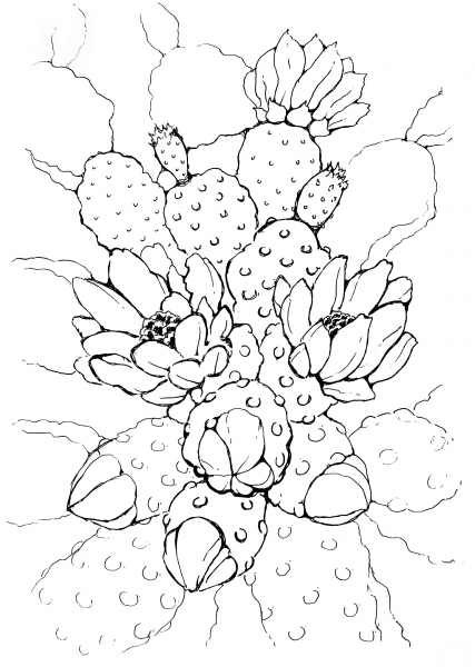 Blooming Blossoms coloring page image