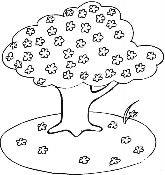 Blooming Cherry Tree coloring page image