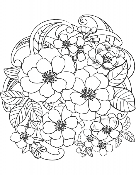 Blooming Flowers coloring page image