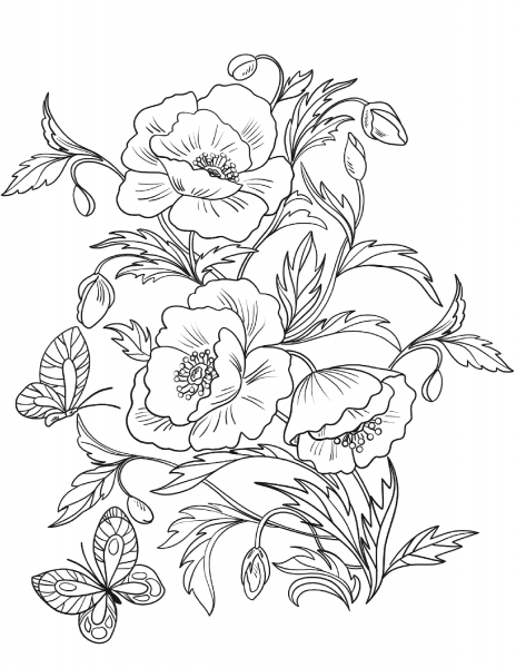 Blossom Poppies coloring page image