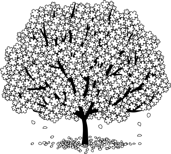 Blossom Tree coloring page image