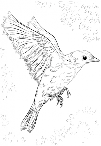 Blue Bird Flying coloring page image