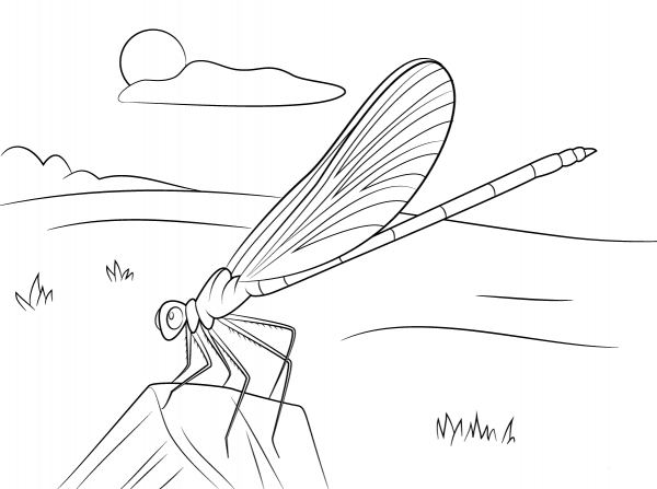 Blue Damselfly coloring page image