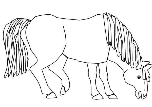 Blue Horse Blue Horse What do You See coloring page image