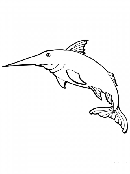 Blue Marlin coloring page image