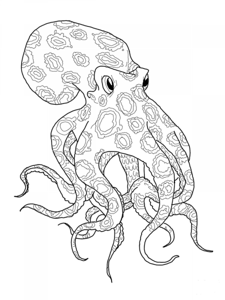 Blue Ringed Octopus coloring page image