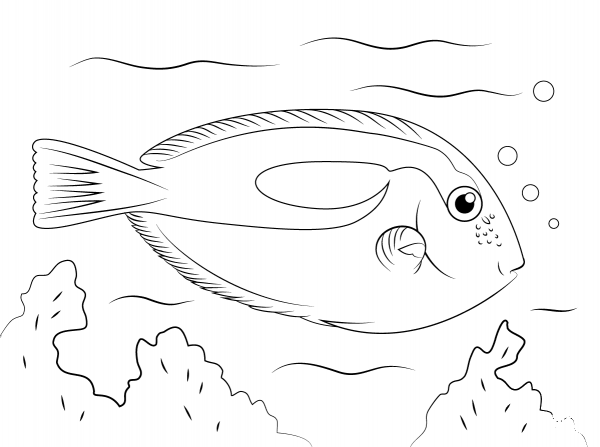 Blue Tang coloring page image